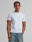 white_137845