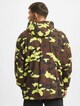 Camo-1