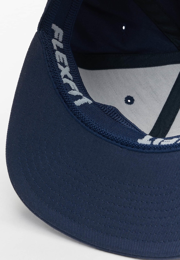Flat Visor-2