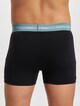 Trunk 3 Pack-5