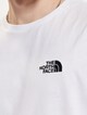 Oversize Simple Dome-4