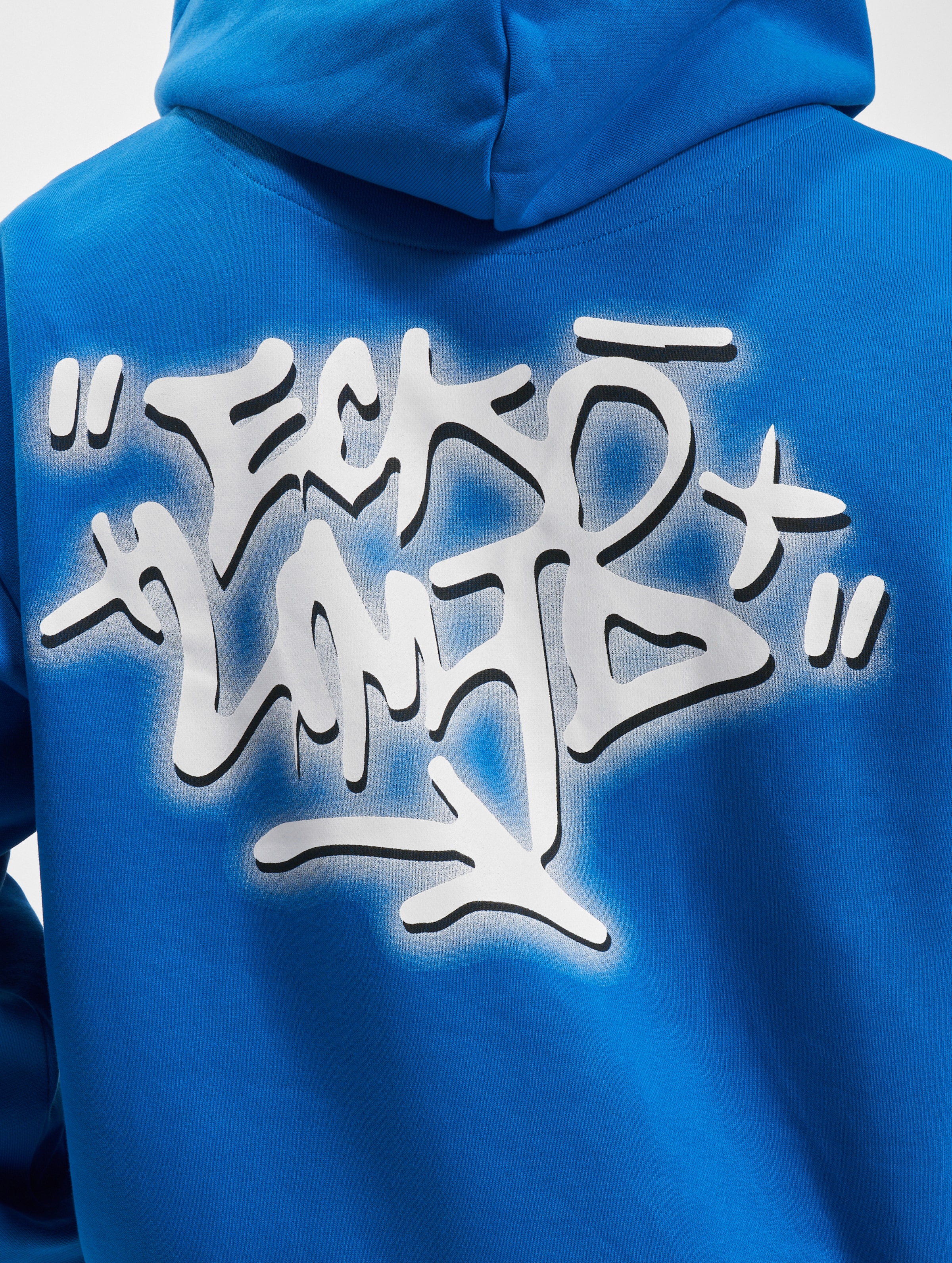 Ecko graffiti online hoodie