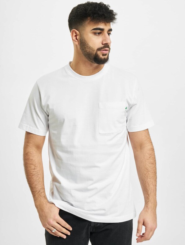 Organic Cotton Basic-2