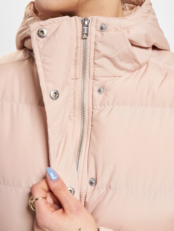 Hooded Puffer-3