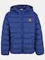 blue_137267