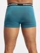 Organic 3-Pack-2
