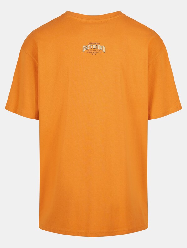 Mister Tee Greyhound Racing Oversize Tee-5