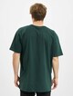 Organic Basic Tee-1