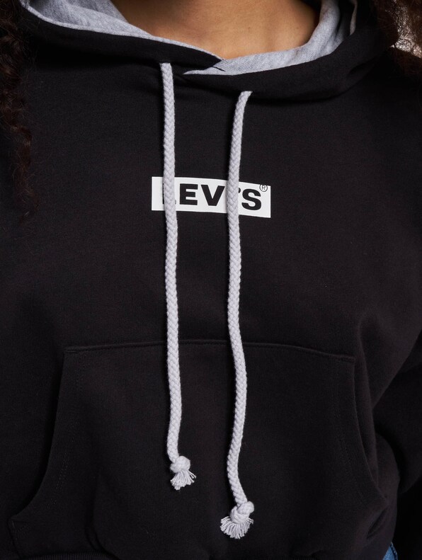 Levis Graphic Laundry Hoodie-3