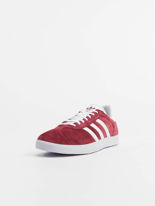 Gazelle -2
