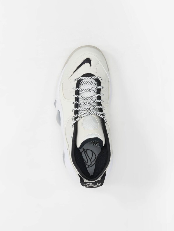 Air Zoom Flight 95-4