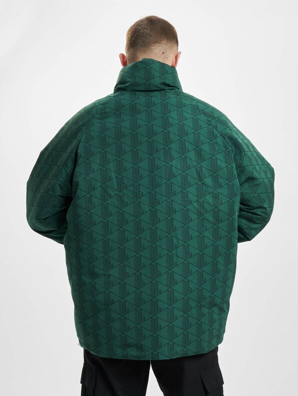 Reversible -2