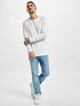 Cotton-5