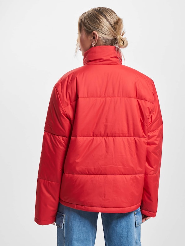 Short Winter Jacket-1