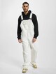 Duck Canvas Classic-5