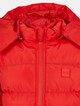 Hooded Puffer-2