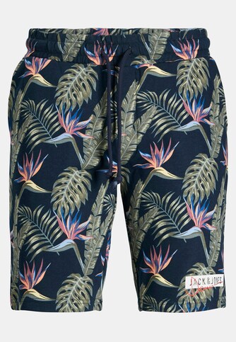 Jack and Jones Junior Shorts