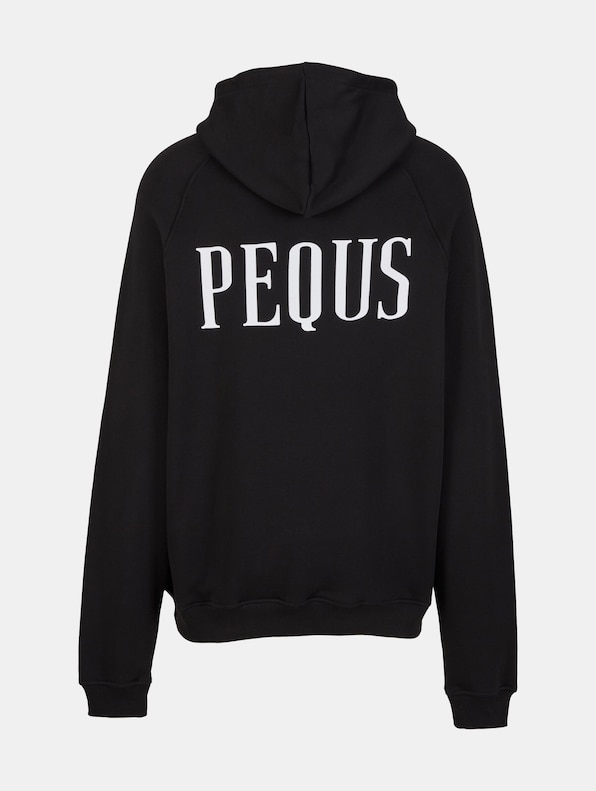 PEQUS Back Logo Hoodies-5