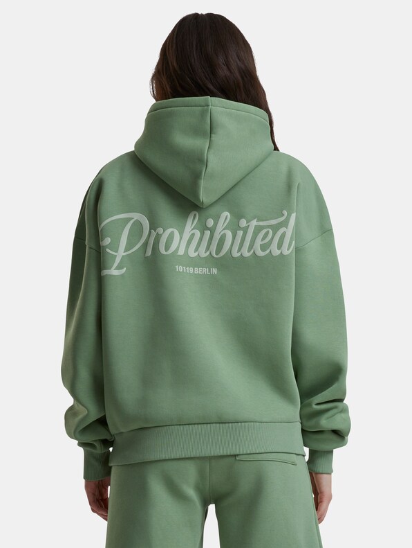 Prohibited 10119 V2 Hoodies-5