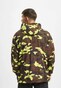 camouflage_9548