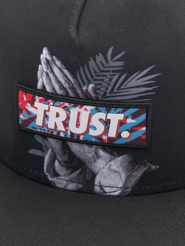 Wl Palm Trust -3