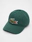 green_105137