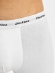 2-Pack-3