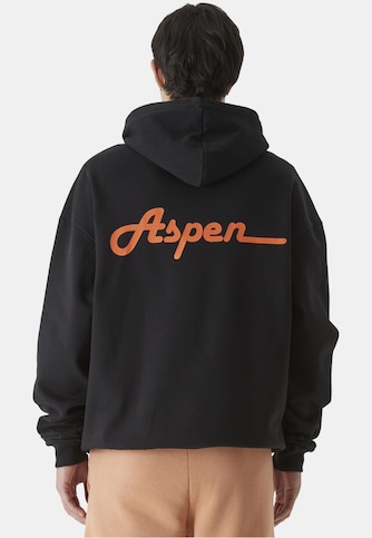 Aspen