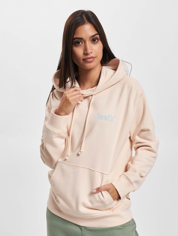 Levis Graphic Standard Hoodie-0
