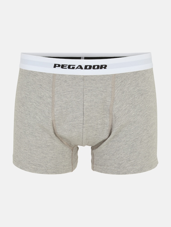 PEGADOR Camino Single Logo 3 Pack Boxershorts-1