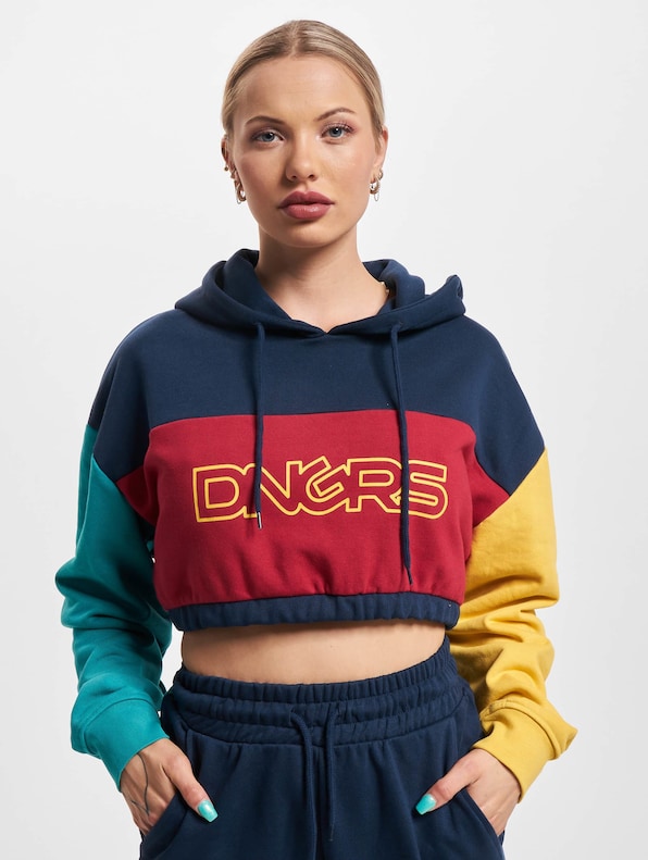 Dangerous DNGRS 4C Hoodies-2