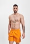 orange_24584