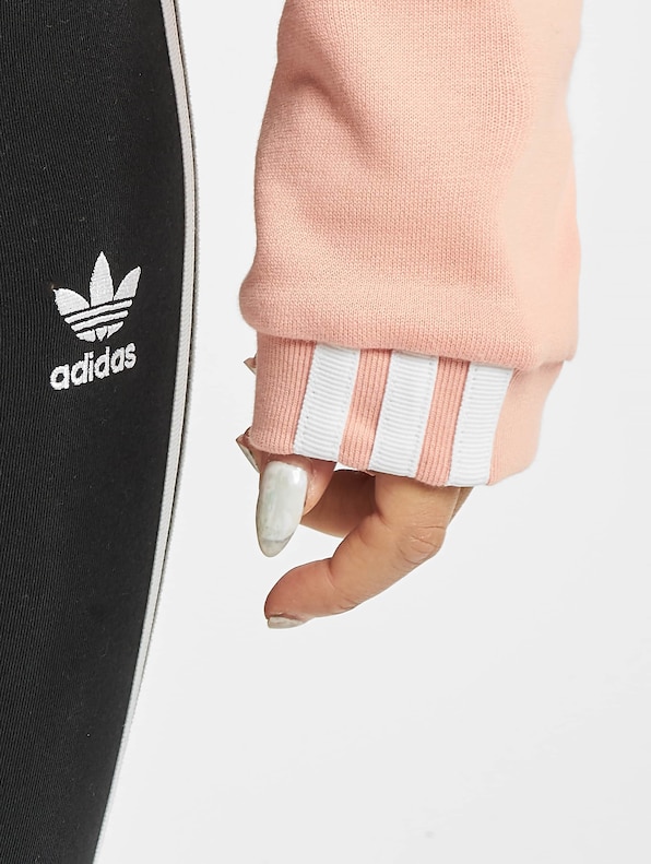 Cropped -3