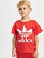 red_25193