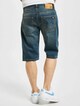 Dickies Michigan  Shorts-1