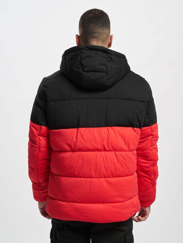 Hooded 2-Tone-1
