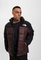 brown_95870
