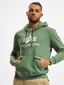 green_84807