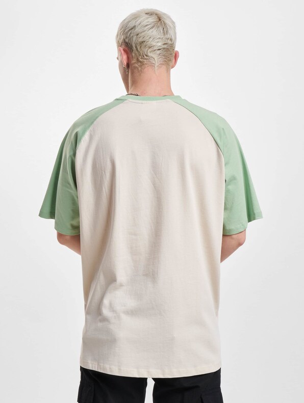 Organic Oversized Raglan -1