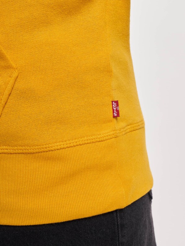 Levis Graphic Standard Hoodie-5