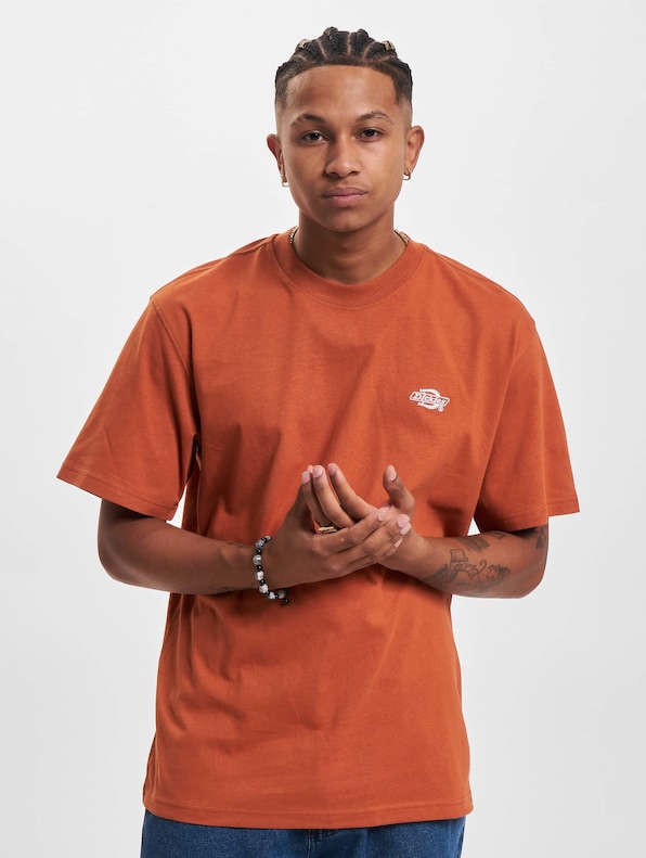 Dickies Summerdale T-Shirt-2