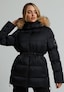 black_202789