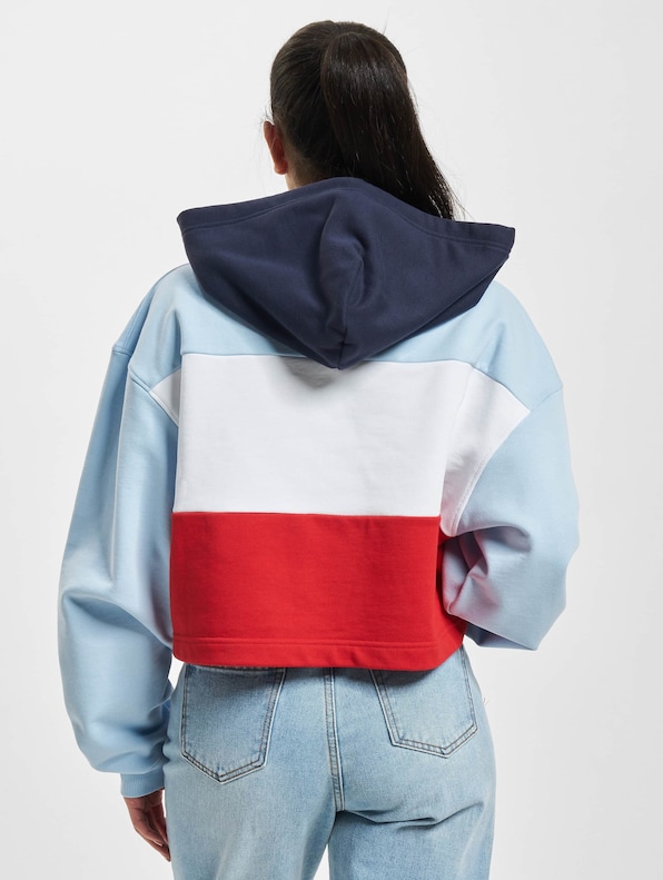 Tommy Jeans Crop Archive Hoody-1