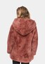 brown_59337
