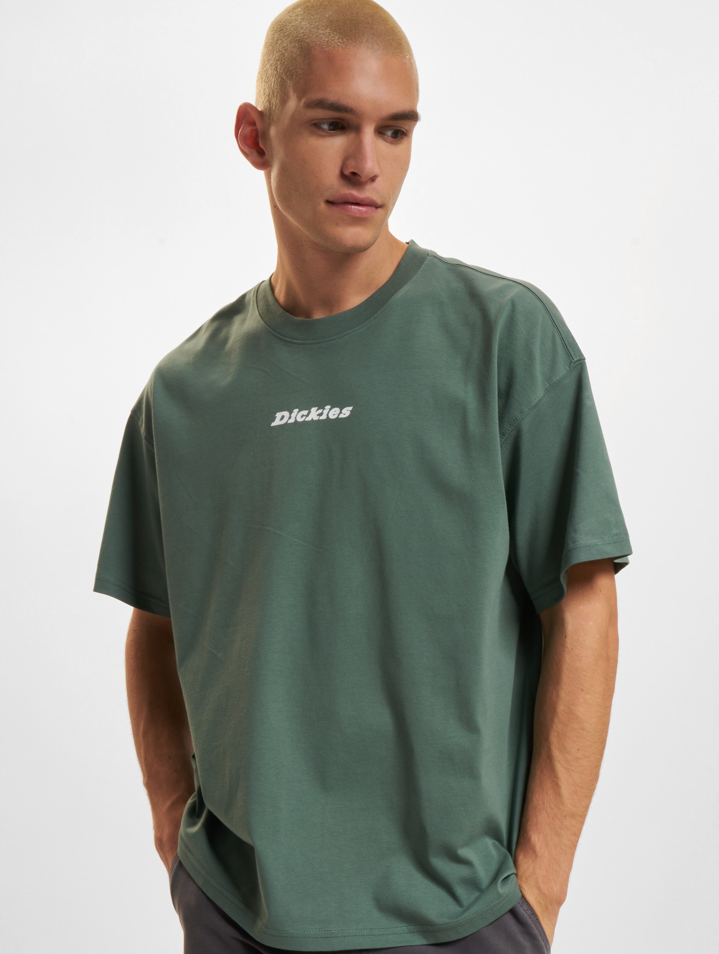 Dickies Enterprise T-Shirt Mannen op kleur groen, Maat L