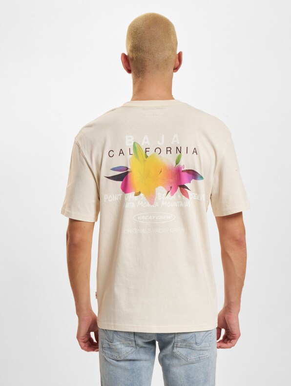 Aruba Gradient Back Crew Neck-1