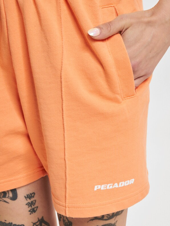 Sully High Waisted -3