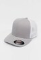 silver_41438