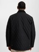 Quilted-1