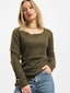 olive_3430